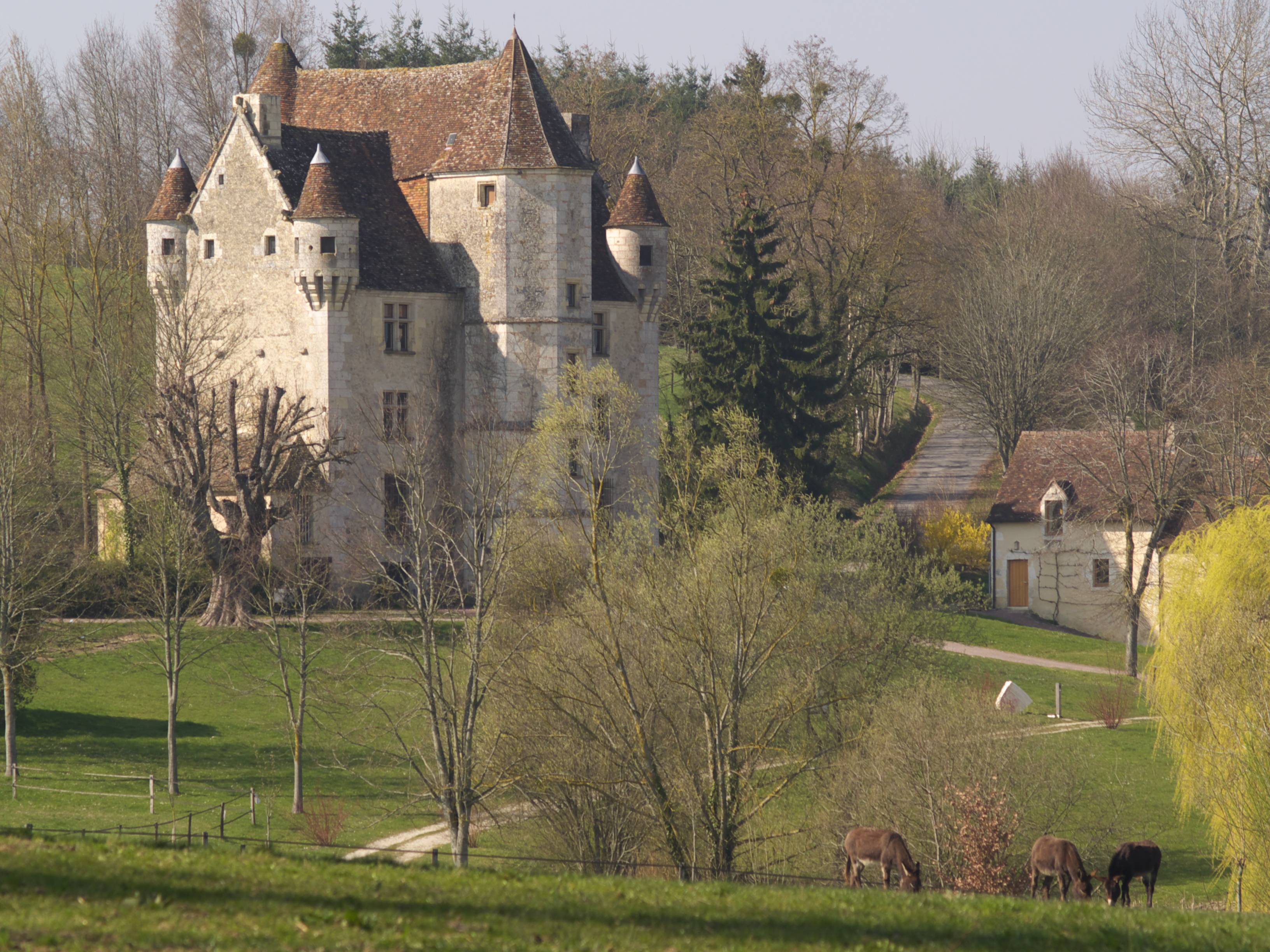 manoir, château, bien immobilier de luxe